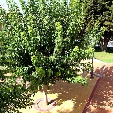 , Granada Bed & Breakfast *