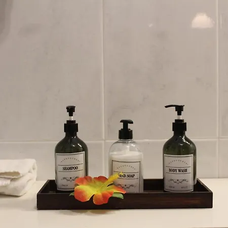 Bed & Breakfast , Granada